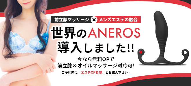 前立腺マッサージ、メンズエステ、アネロス